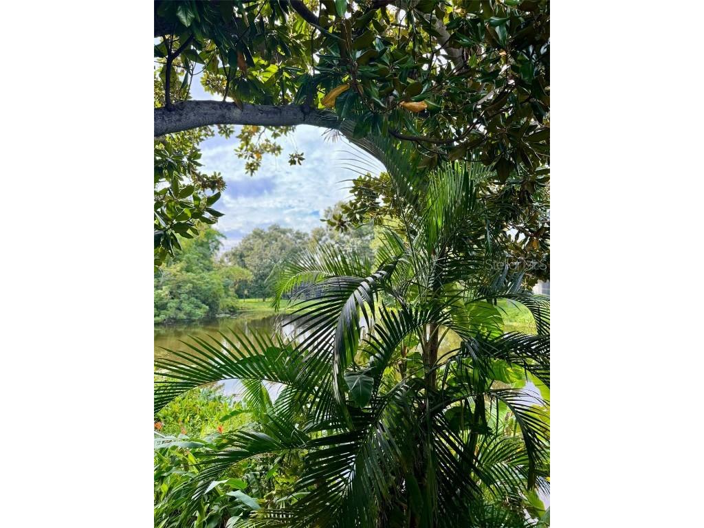 3012 Grand View Avenue Clearwater FL 33759 TB8443337 image37