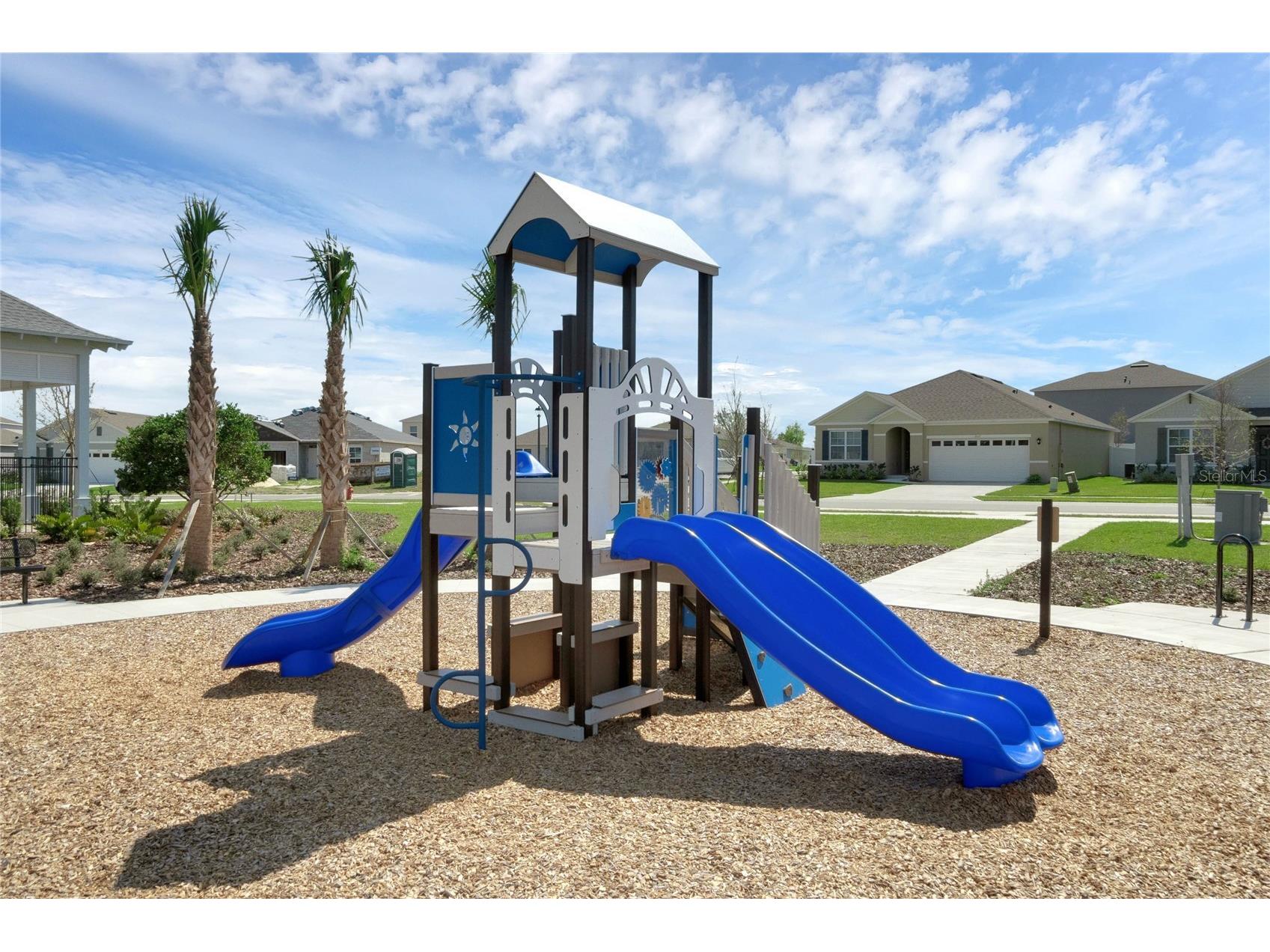 3012 Jessamine Drive Tavares FL 32778 O6389734 image35