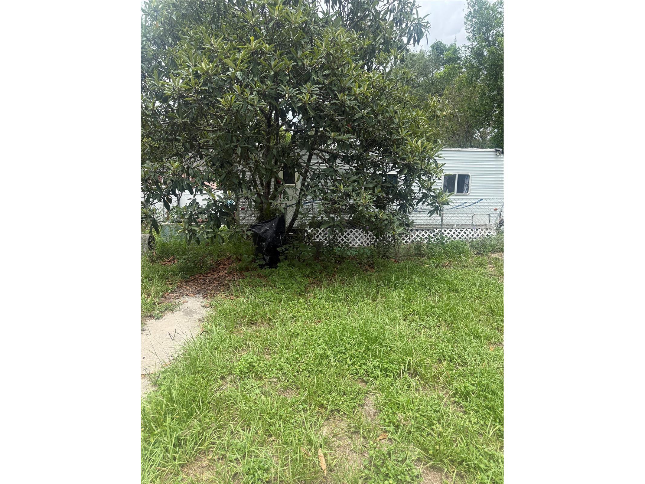 3012 N Albany Avenue Tampa FL 33607 TB8528620 image12