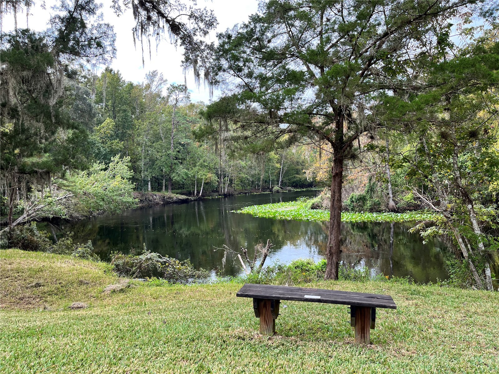 3012 NE 104th Avenue Silver Springs FL 34488 - OCKLAWAHA O6396394 image57