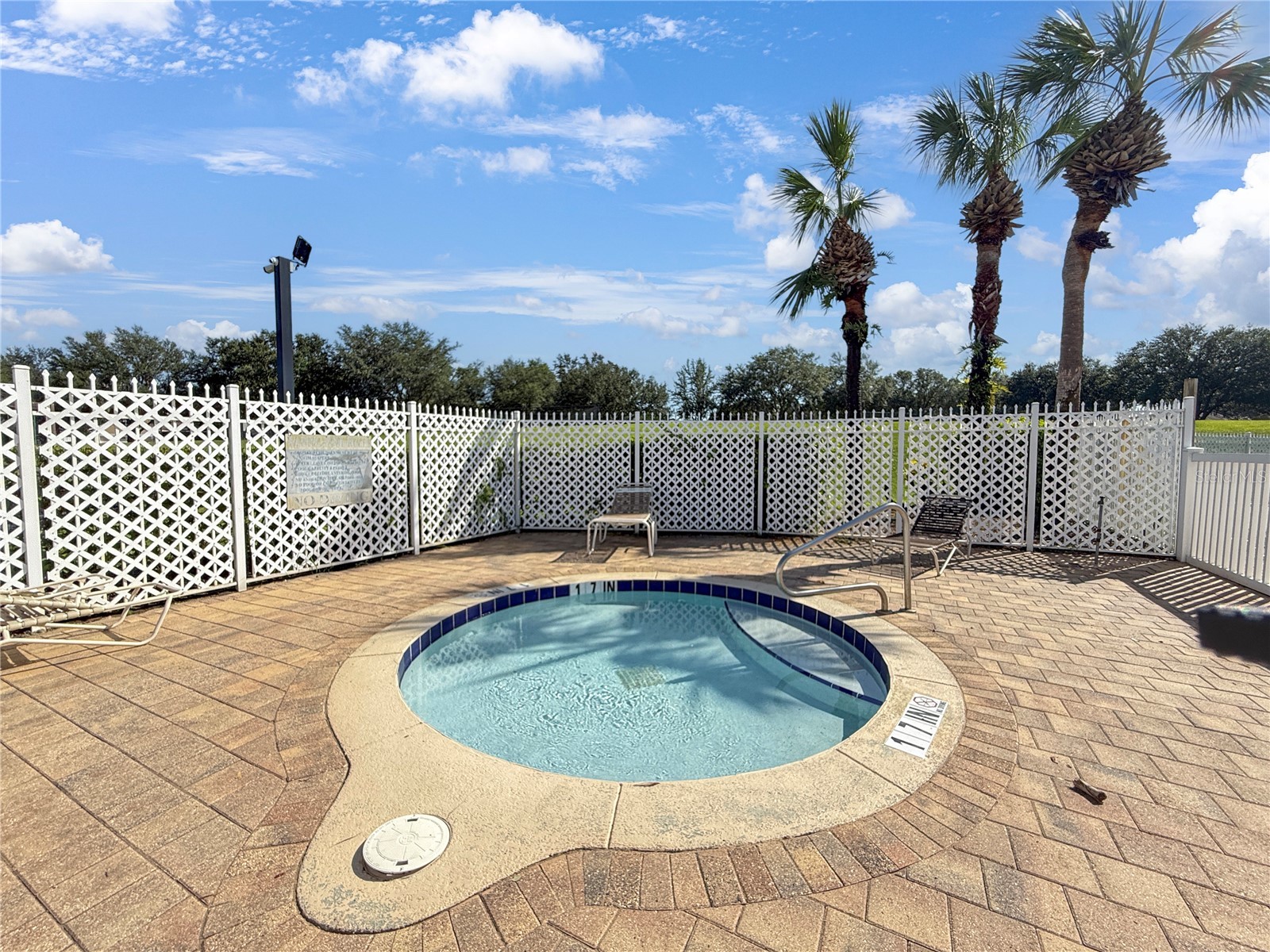 3012 Summer House Drive Valrico FL 33594 TB8528566 image39