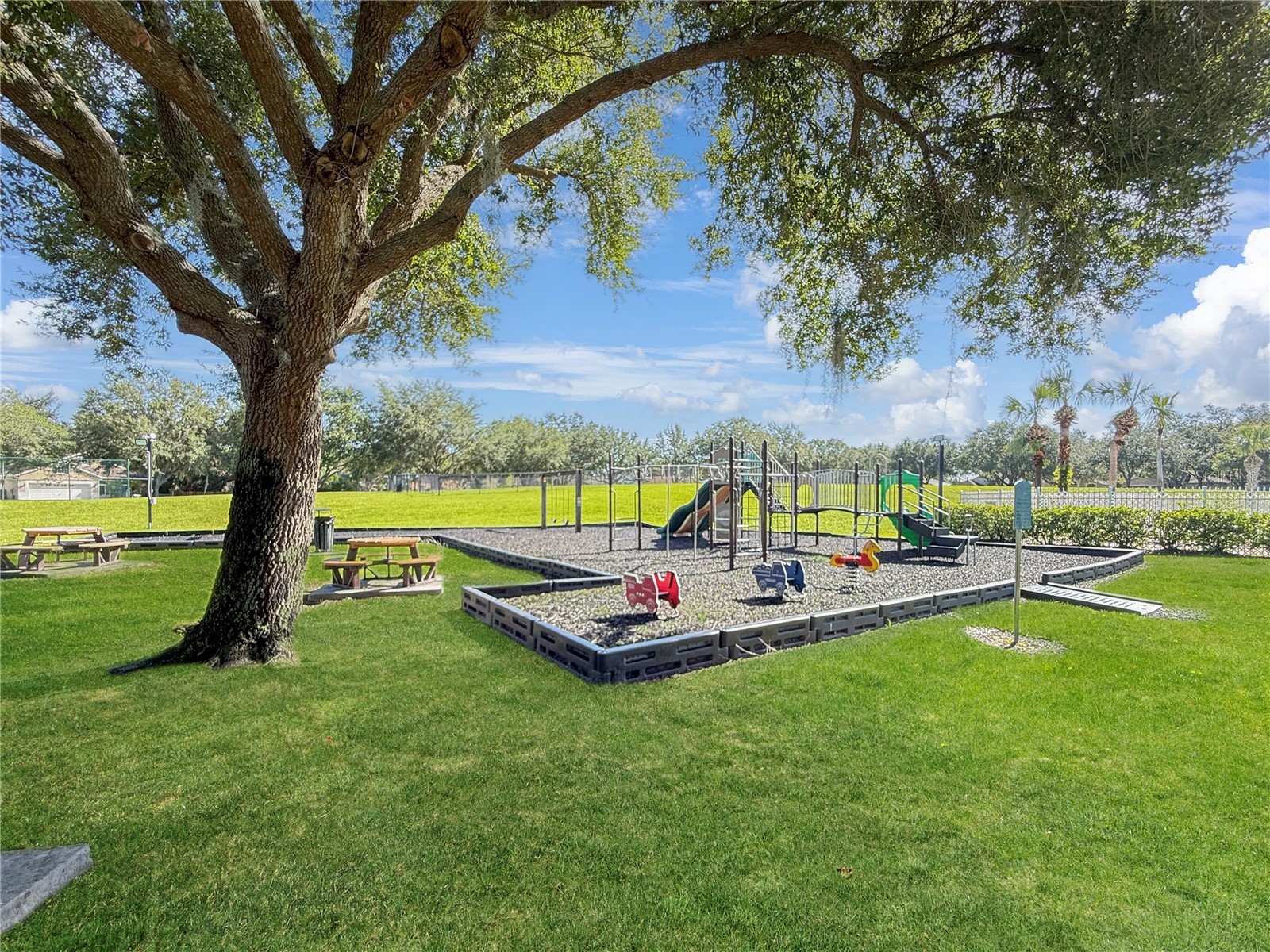 3012 Summer House Drive Valrico FL 33594 TB8528566 image40