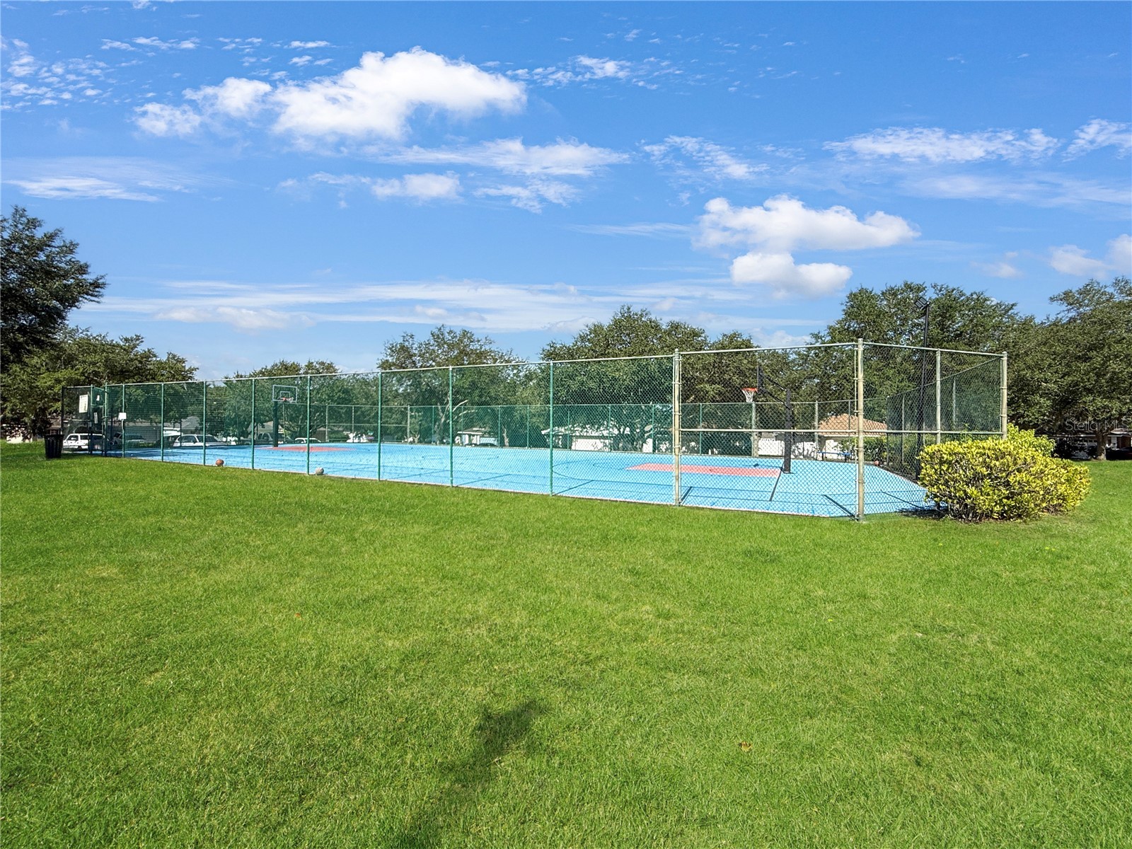 3012 Summer House Drive Valrico FL 33594 TB8528566 image41