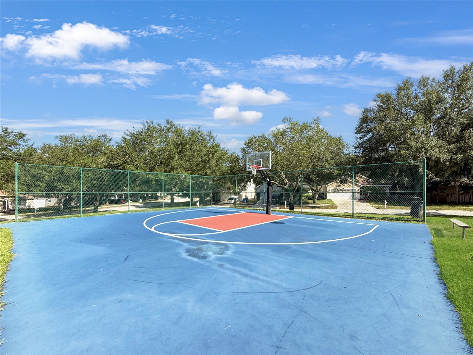 3012 Summer House Drive Valrico FL 33594 TB8528566 image42