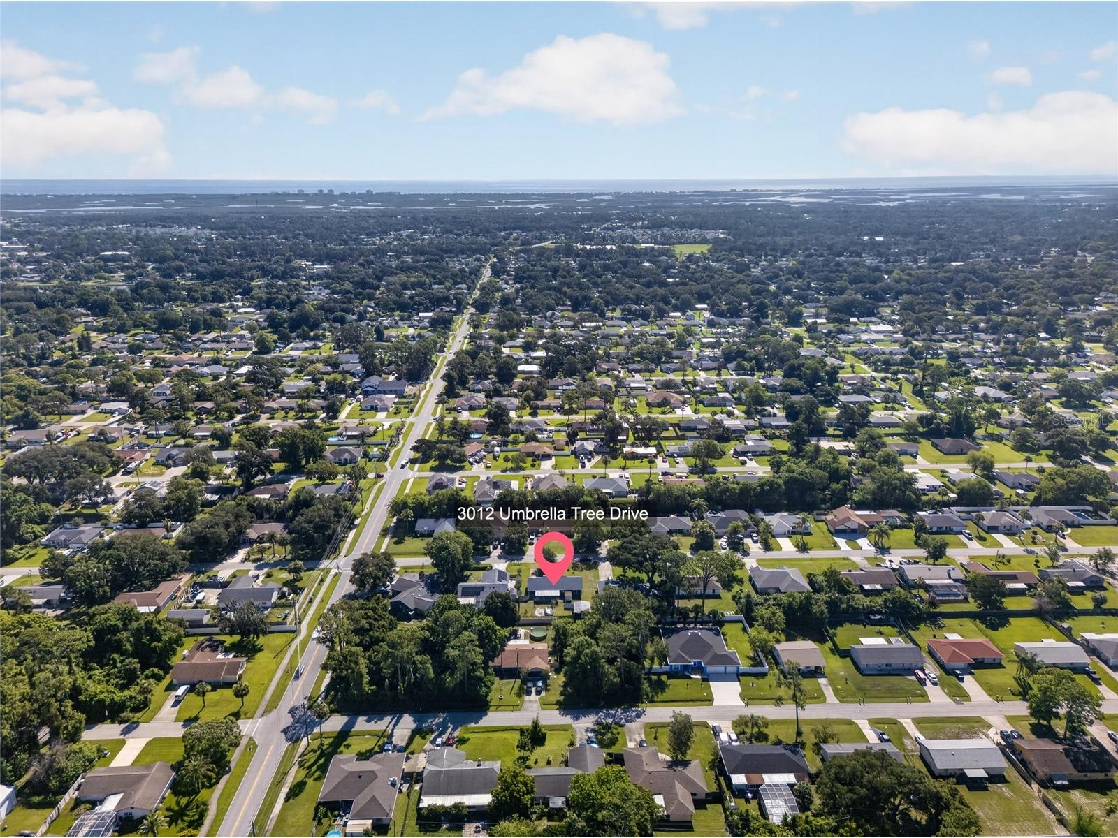 3012 Umbrella Tree Drive Edgewater FL 32141 V4949756 image51