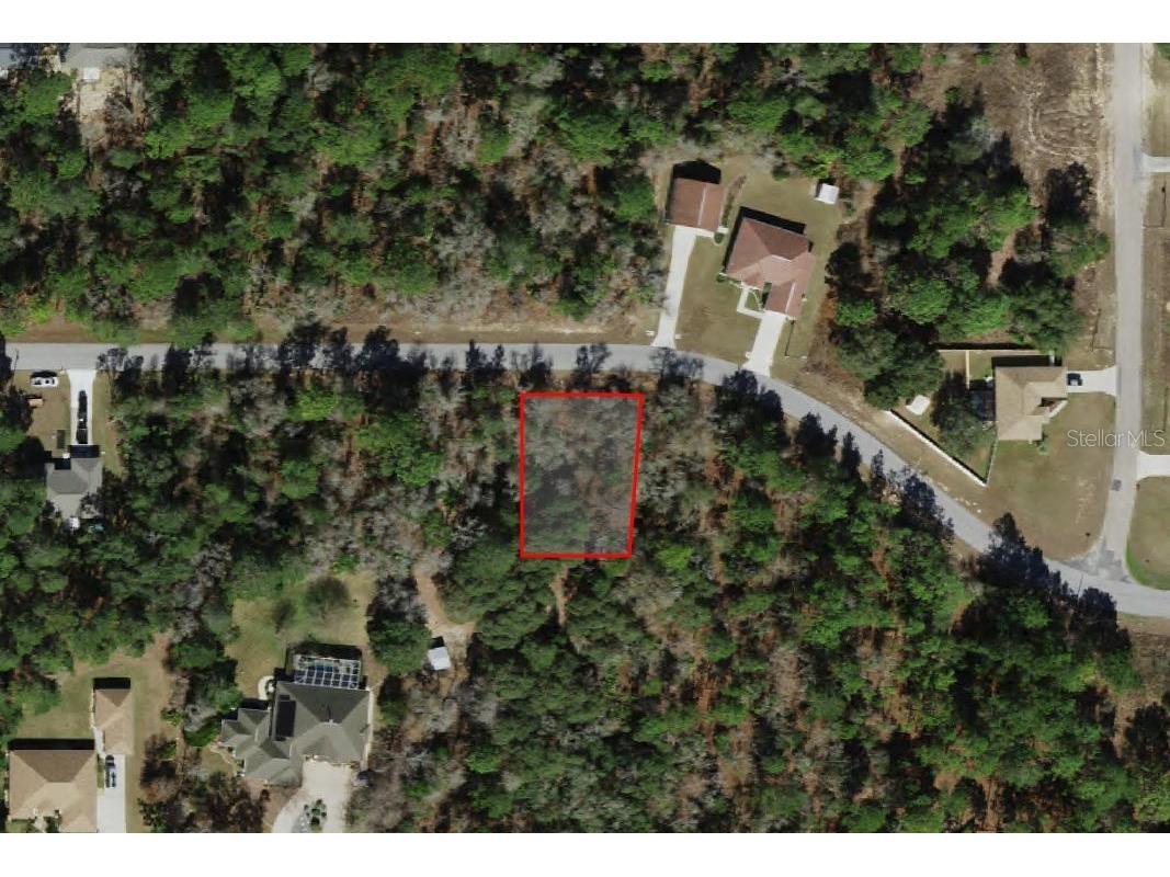 3012 W Eunice Drive Dunnellon FL 34433 A4686193 image1