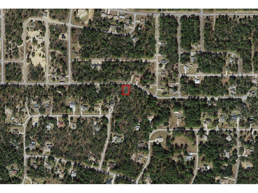 3012 W Eunice Drive Dunnellon FL 34433 A4686193 image3