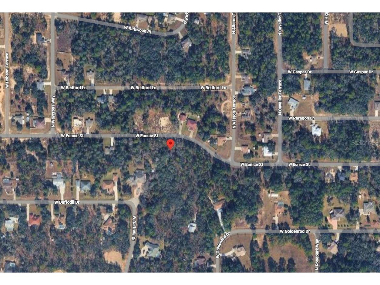 3012 W Eunice Drive Dunnellon FL 34433 A4686193 image4
