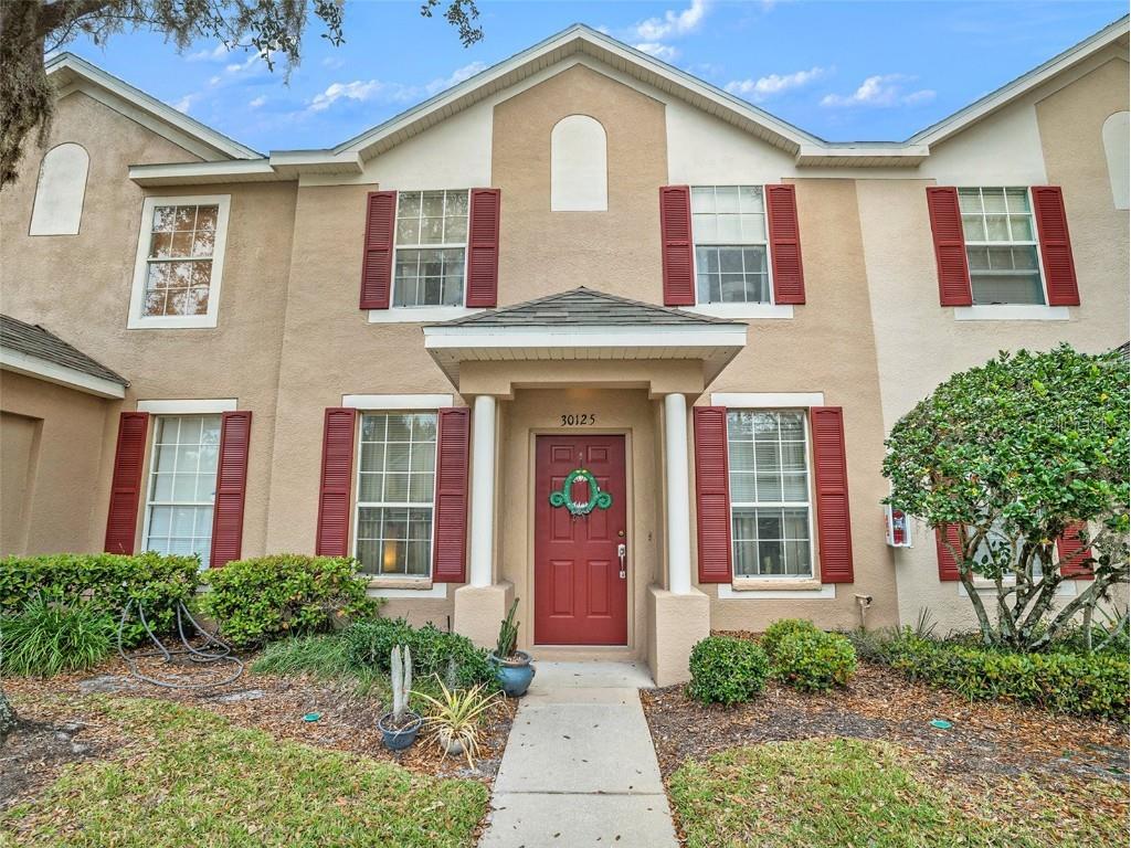 30125 Barnaby Lane Wesley Chapel FL 33543 T3508764 image1