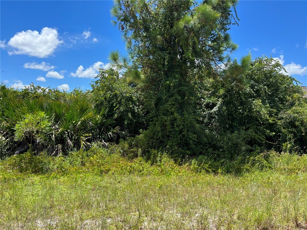 3013 62nd Street W Lehigh Acres FL 33971 G5058865 image1