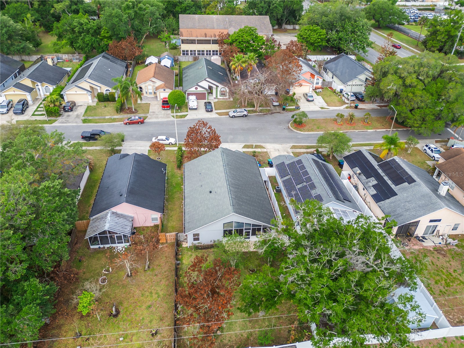 3013 Catherine Wheel Court Orlando FL 32822 O6397014 image5