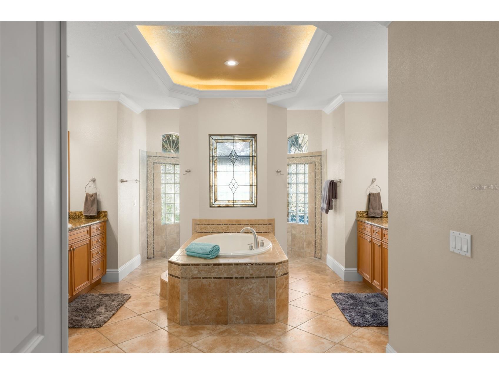 3013 Seigneury Drive Windermere FL 34786 O6377087 image29