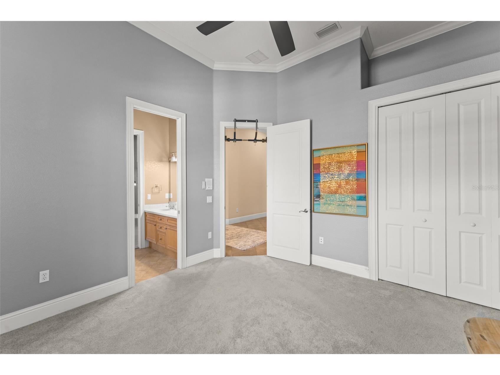 3013 Seigneury Drive Windermere FL 34786 O6377087 image41