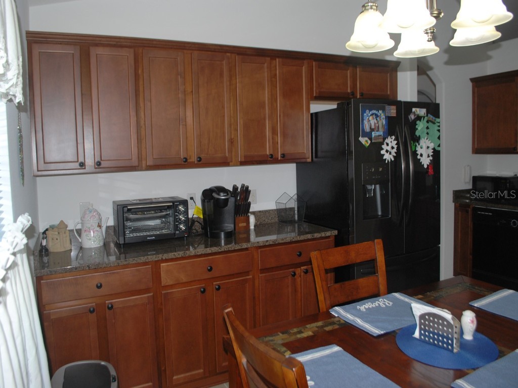 3013 Vista Palm Drive Edgewater FL 32141 NS1086023 image12