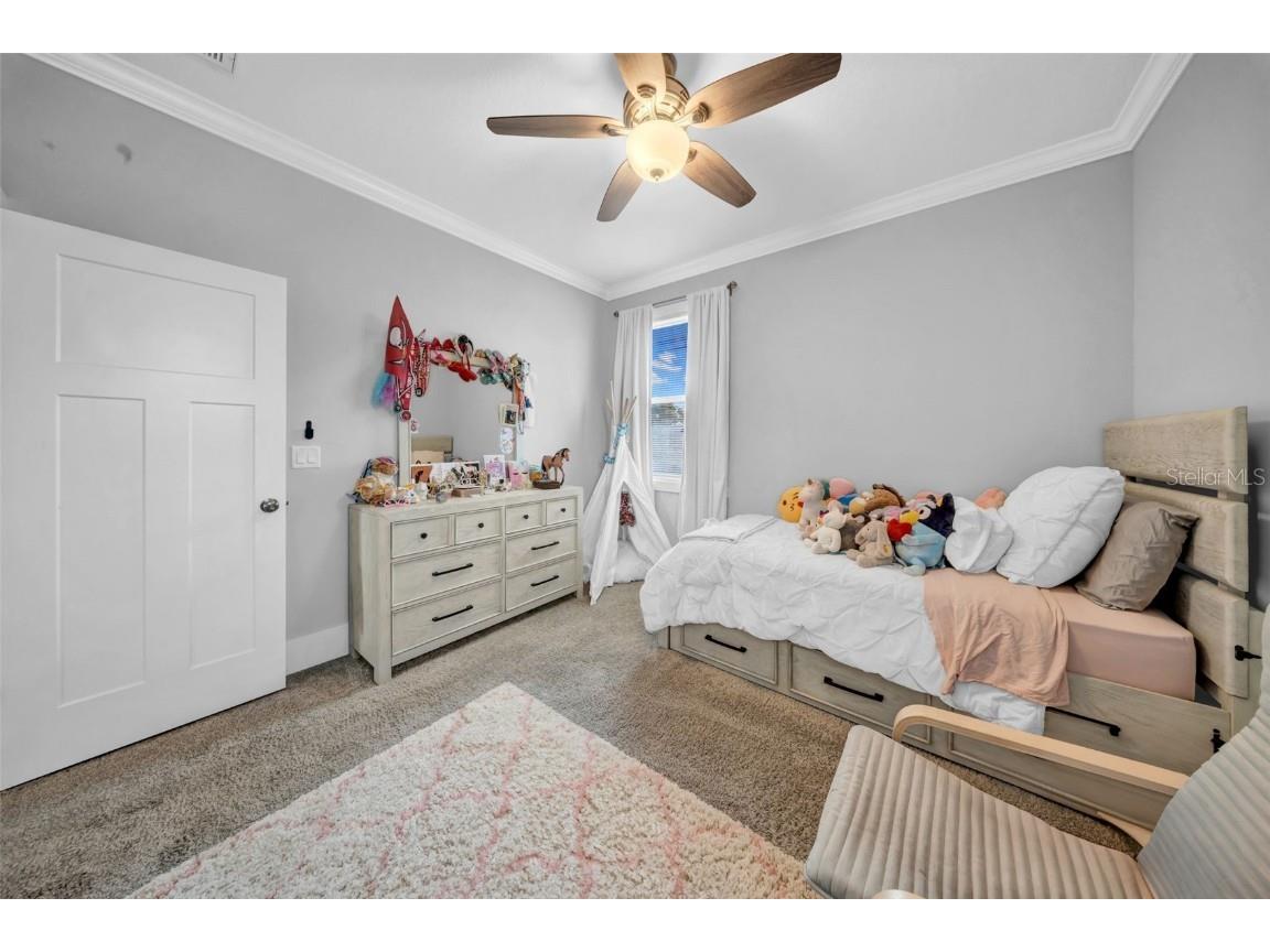 3013 W Crest Avenue Tampa FL 33614 TB8400857 image38