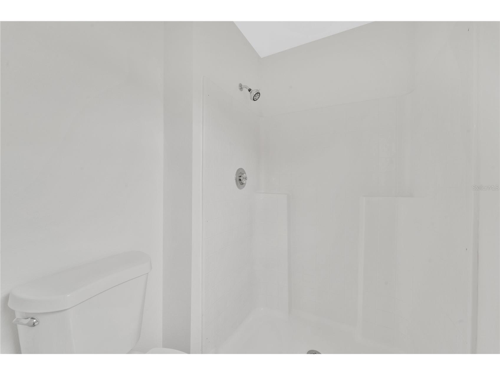 30131 Rattana Court Wesley Chapel FL 33545 O6410073 image16