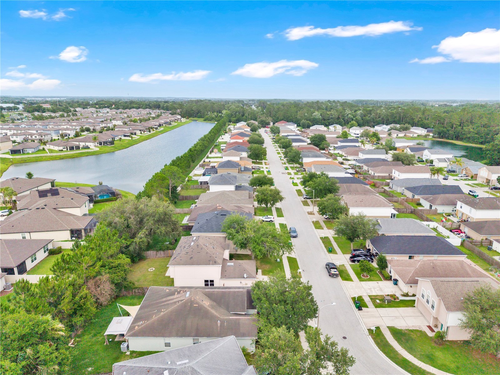 30131 Rattana Court Wesley Chapel FL 33545 O6410073 image27