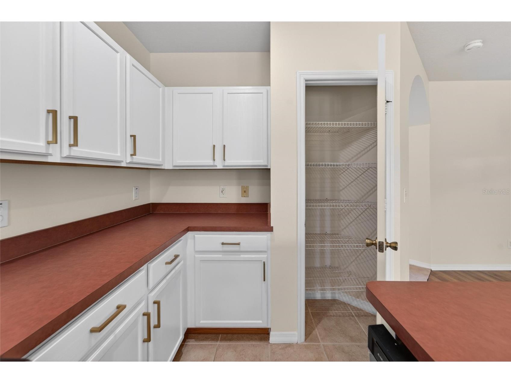 30132 Mossbank Drive Wesley Chapel FL 33543 TB8513779 image25