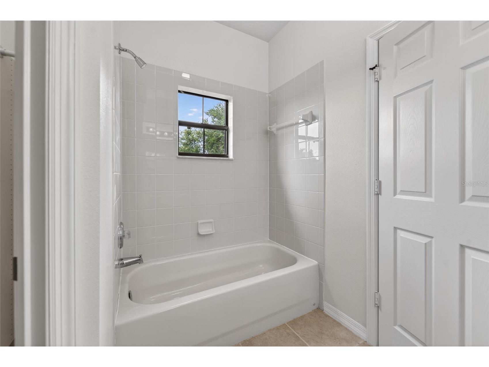 30132 Mossbank Drive Wesley Chapel FL 33543 TB8513779 image42