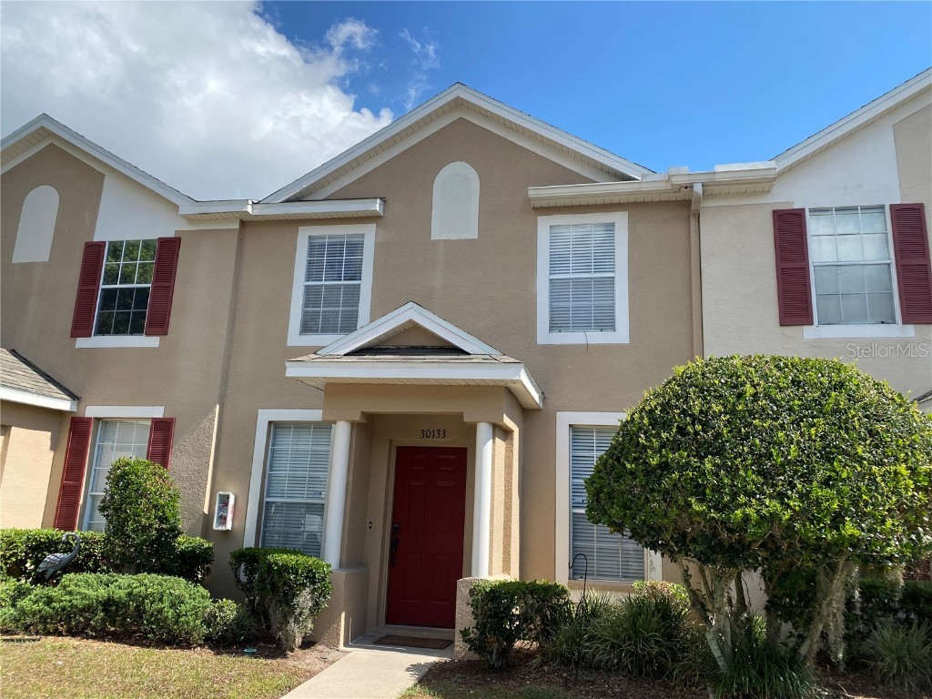 30133 Barnaby Lane Wesley Chapel FL 33543 T3532959 image1