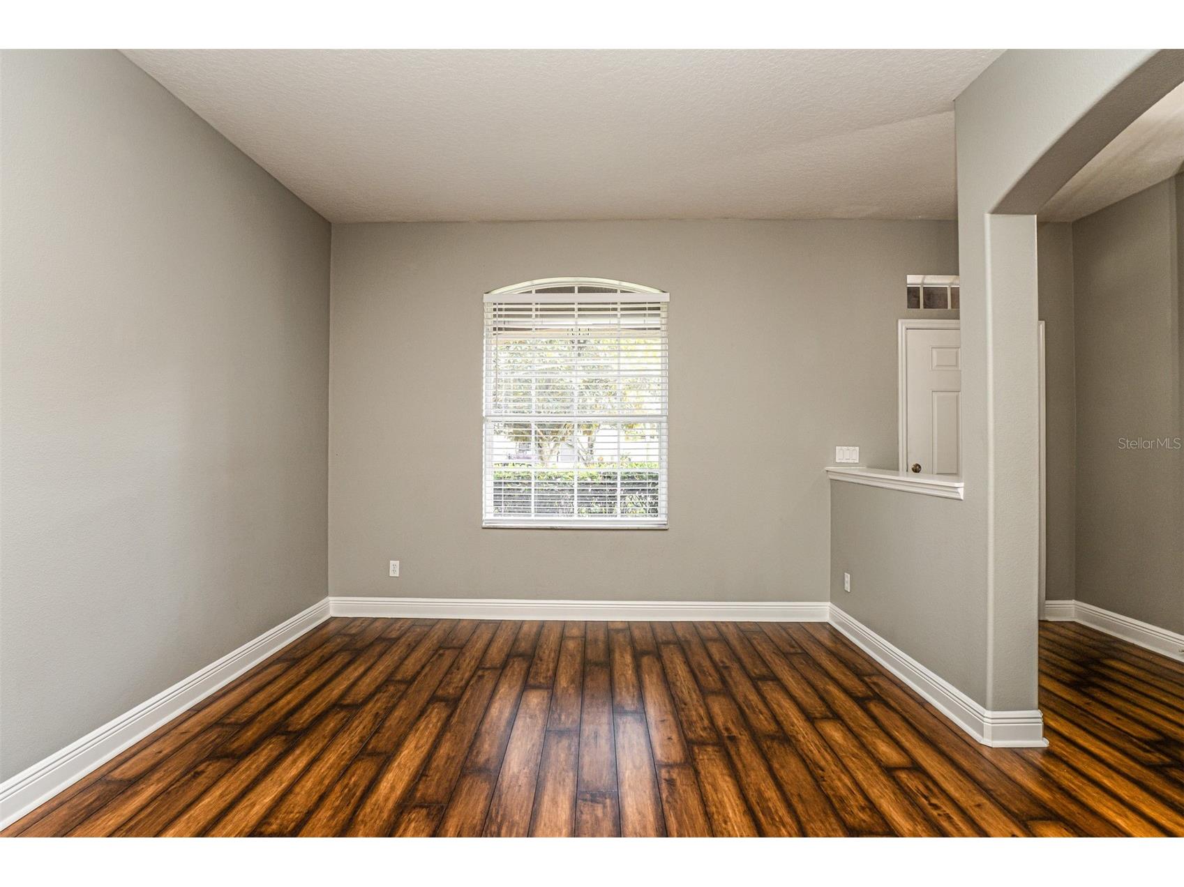 30136 Jutland Court Mount Dora FL 32757 TB8525264 image12