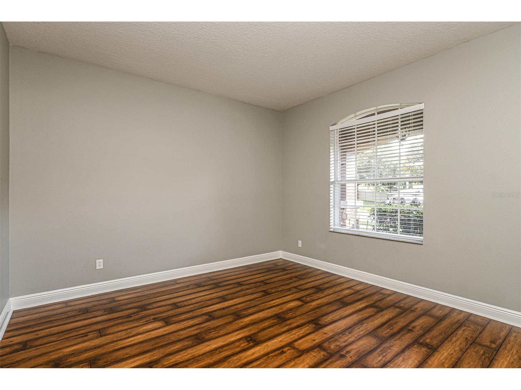 30136 Jutland Court Mount Dora FL 32757 TB8525264 image13