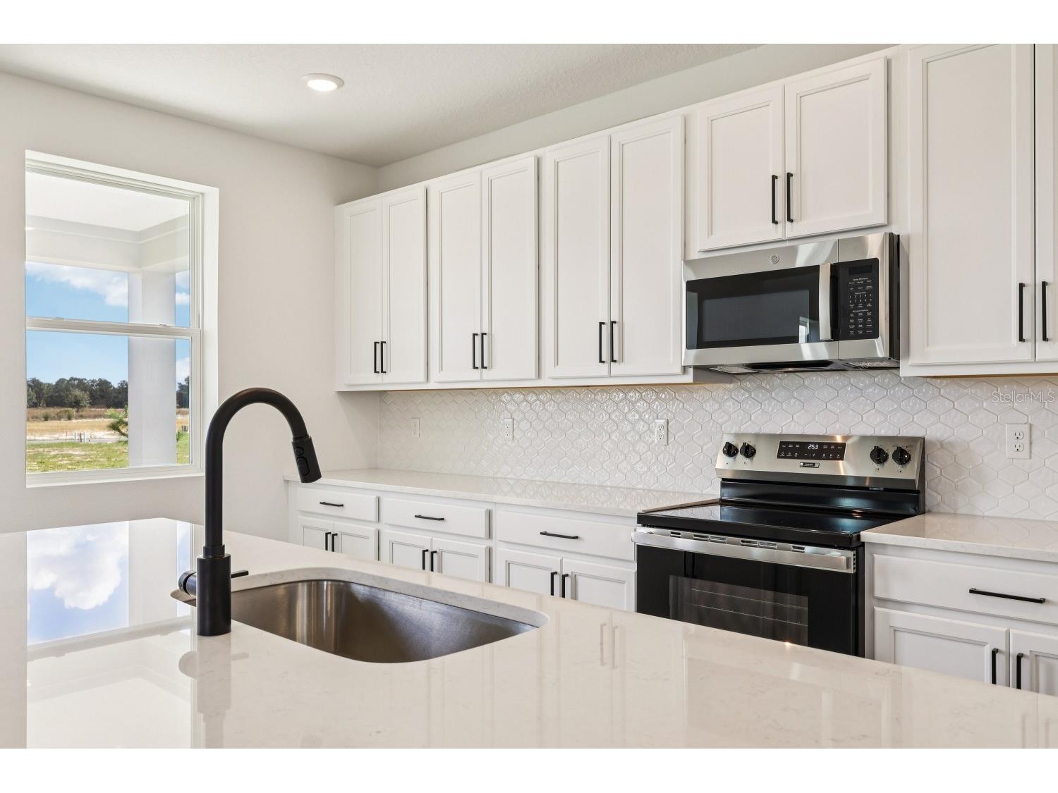 30137 Misty Pines Road Mount Dora FL 32757 TB8447214 image16