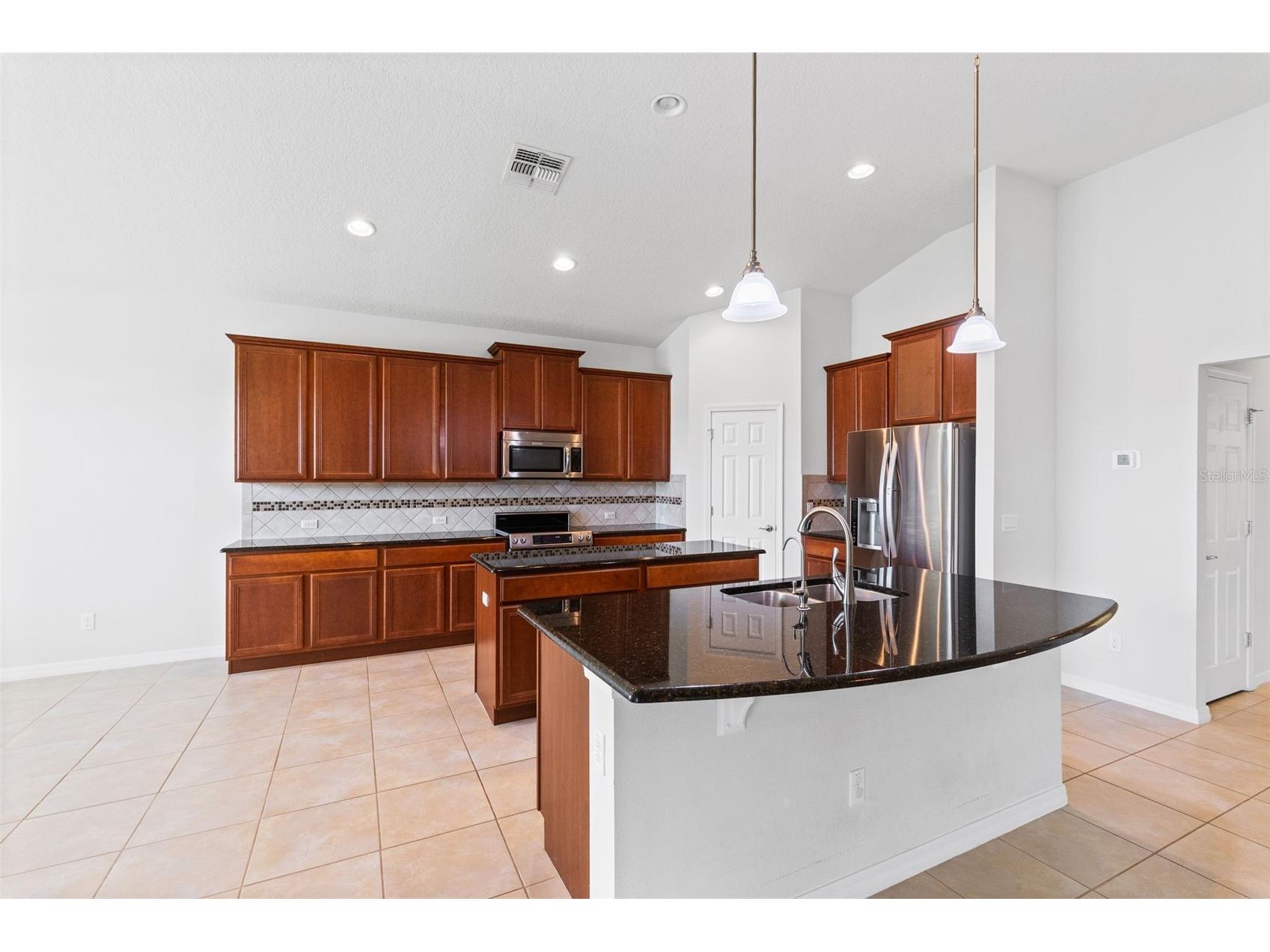 30139 Hackney Loop Mount Dora FL 32757 O6395484 image12