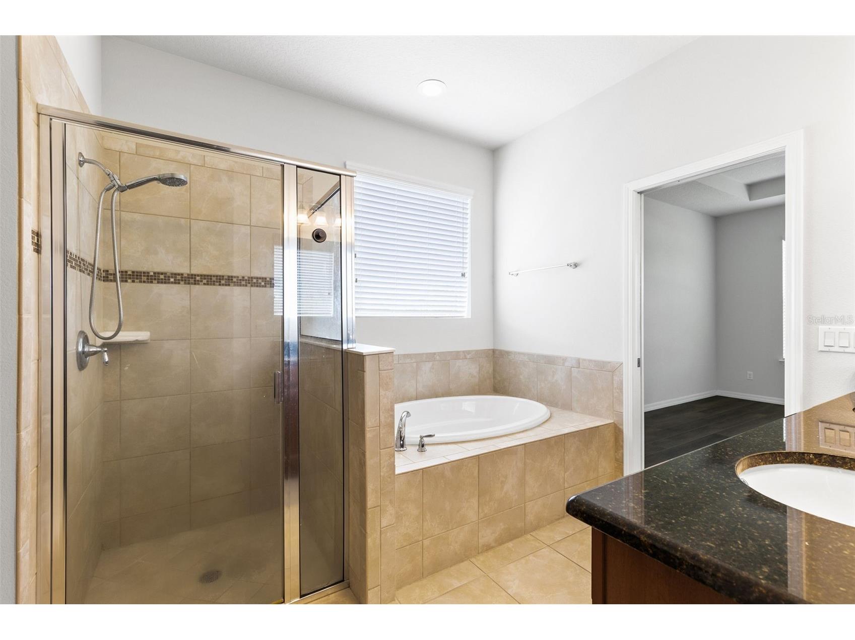 30139 Hackney Loop Mount Dora FL 32757 O6395484 image23