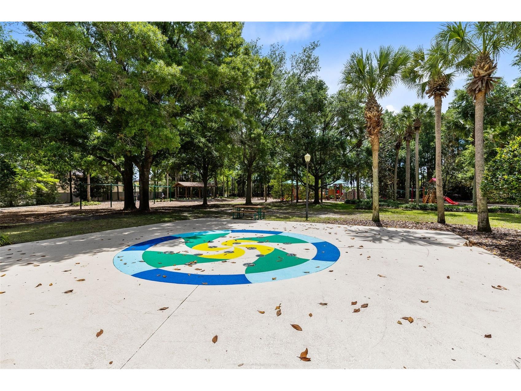 30139 Hackney Loop Mount Dora FL 32757 O6395484 image35