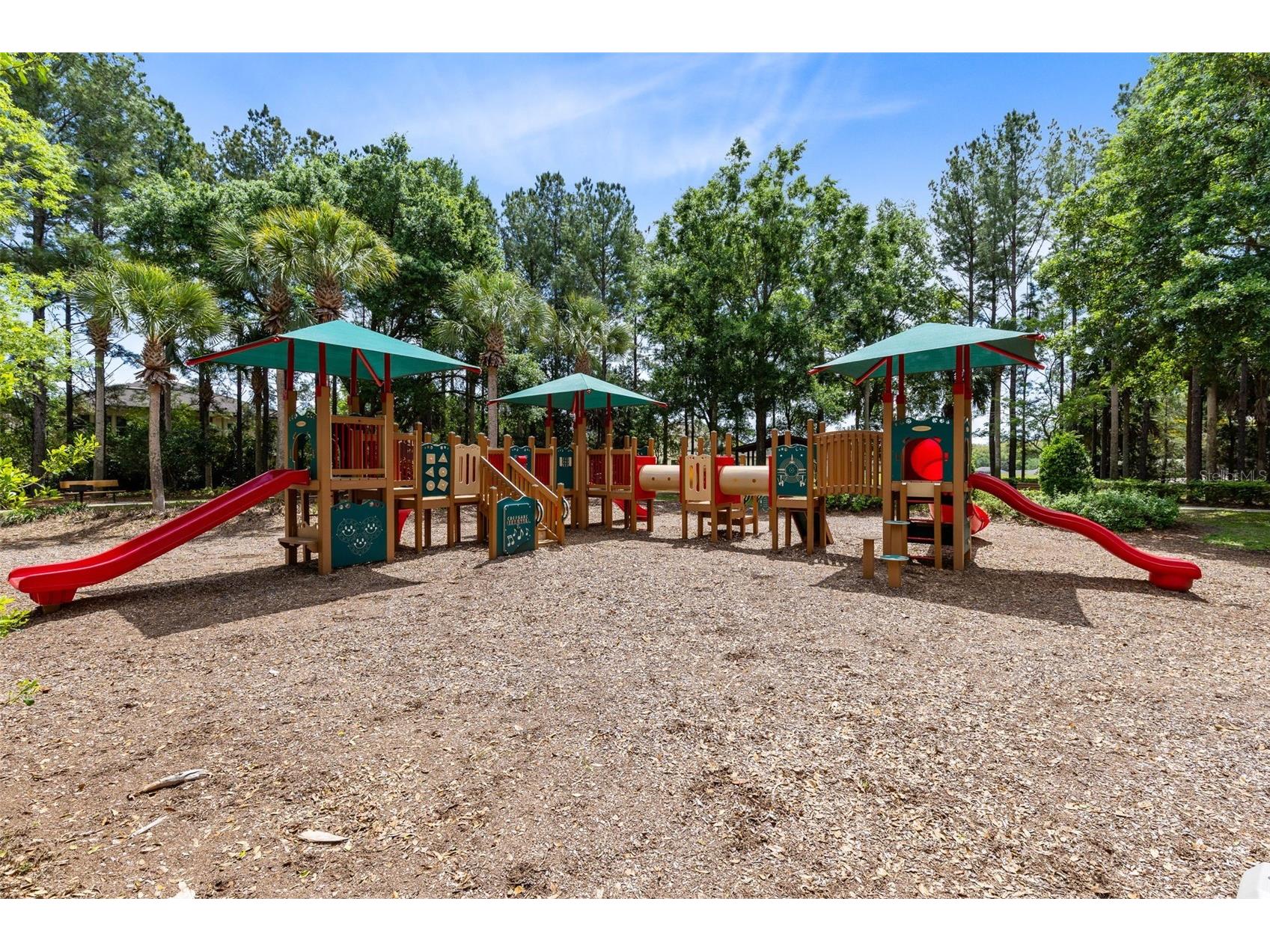 30139 Hackney Loop Mount Dora FL 32757 O6395484 image37