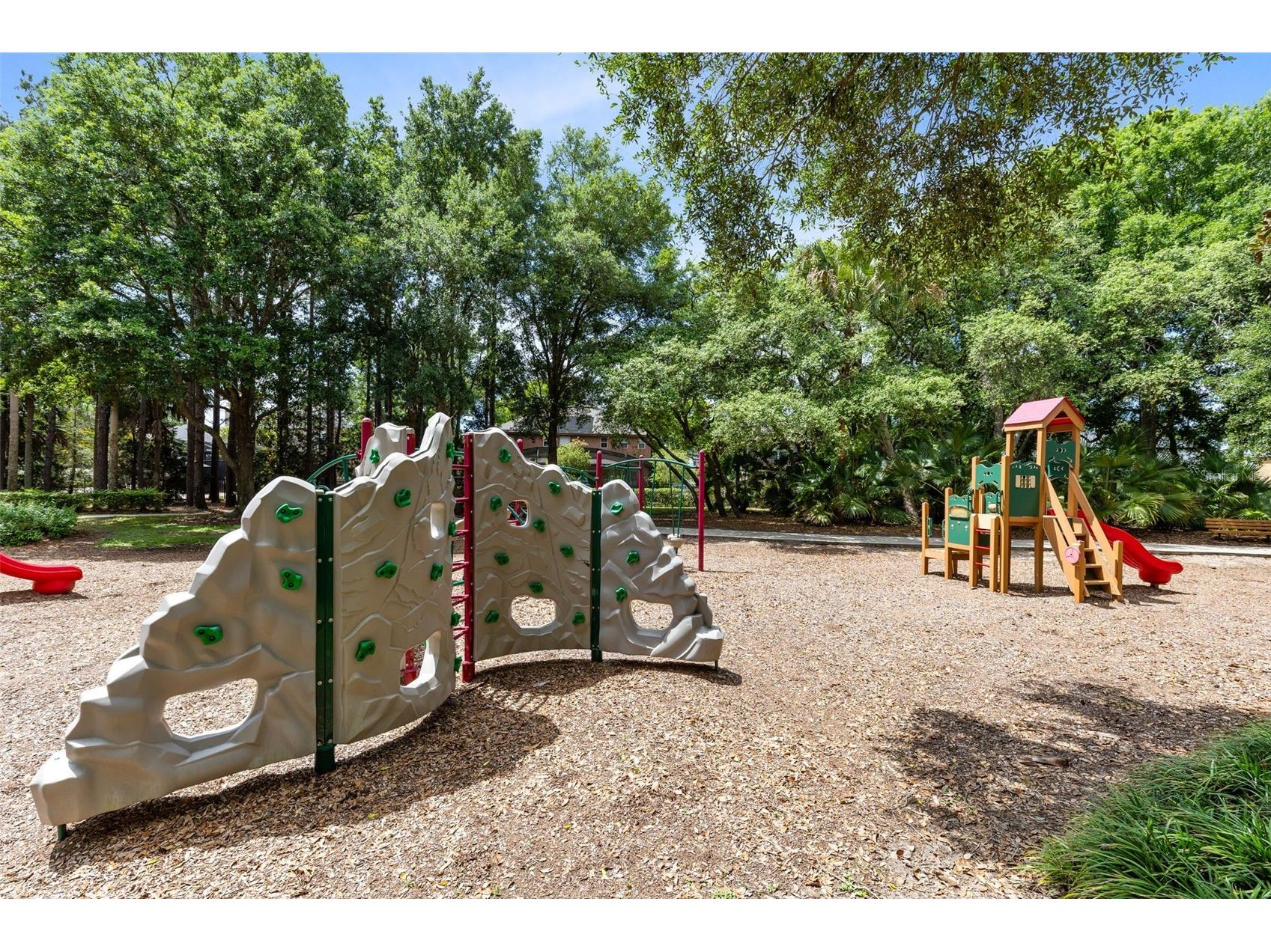 30139 Hackney Loop Mount Dora FL 32757 O6395484 image38