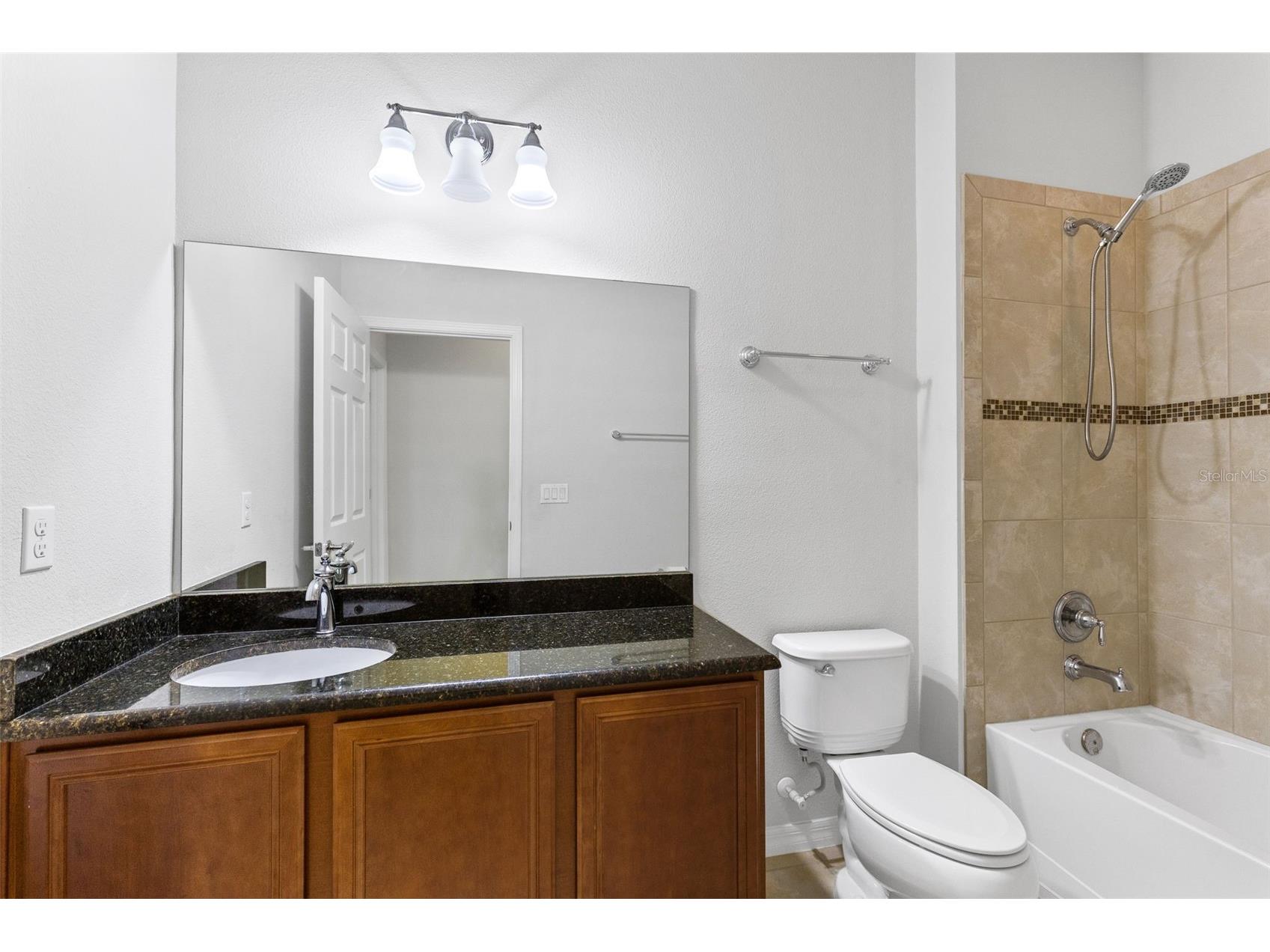 30139 Hackney Loop Mount Dora FL 32757 O6395484 image6