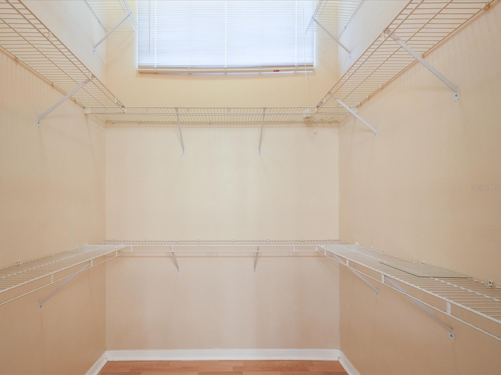 3014 Pepperwood Lane W Clearwater FL 33761 TB8458185 image21