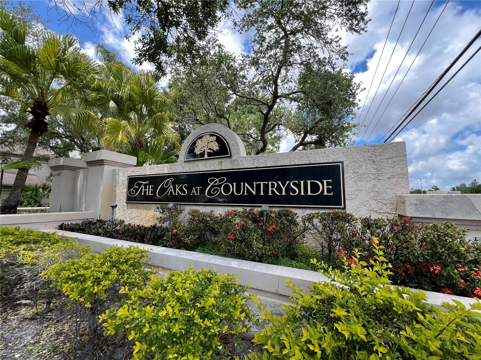 3014 Red Oak Court #102 Palm Harbor FL 34684 TB8503735 image1