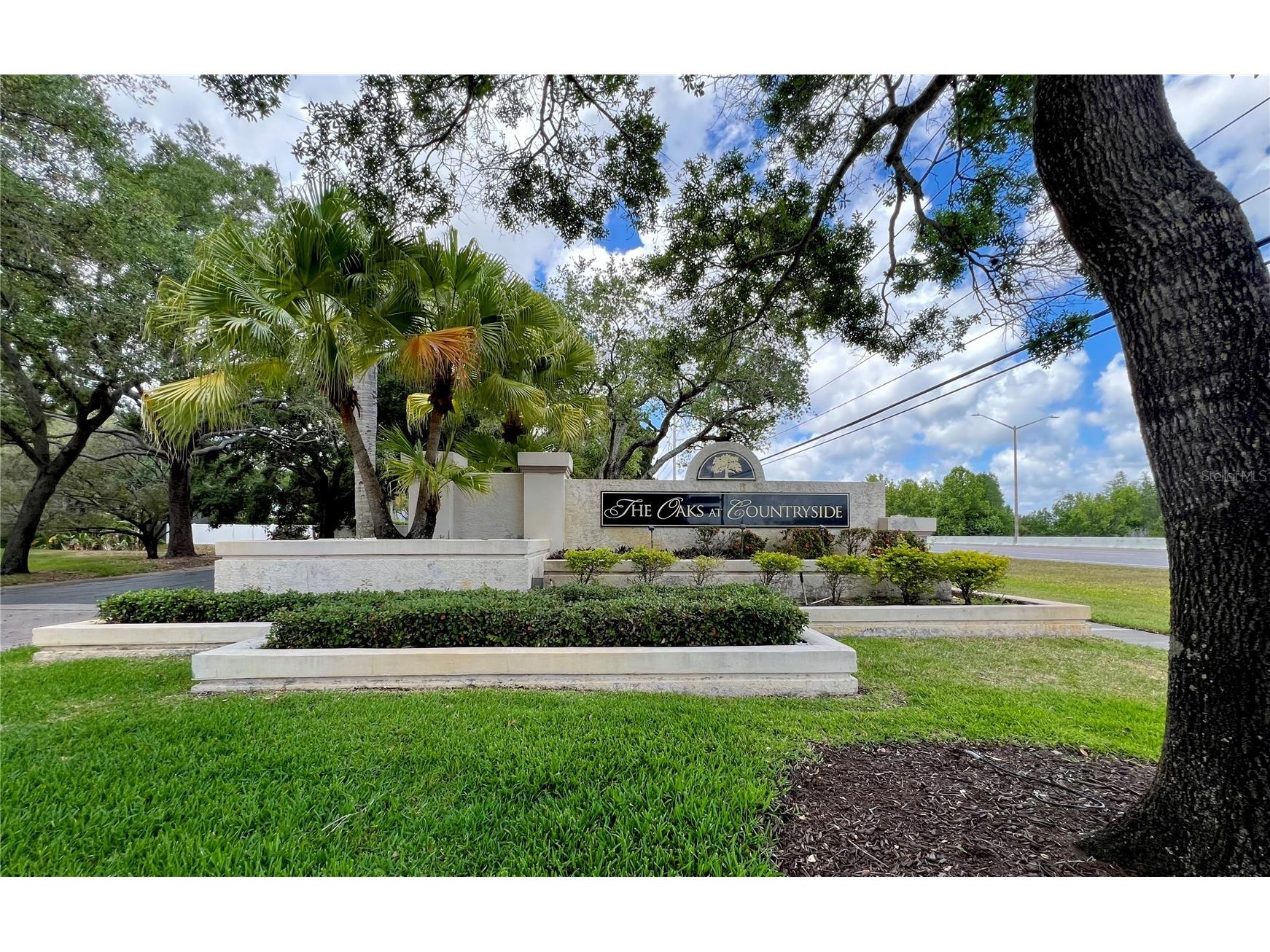 3014 Red Oak Court #102 Palm Harbor FL 34684 TB8503735 image3