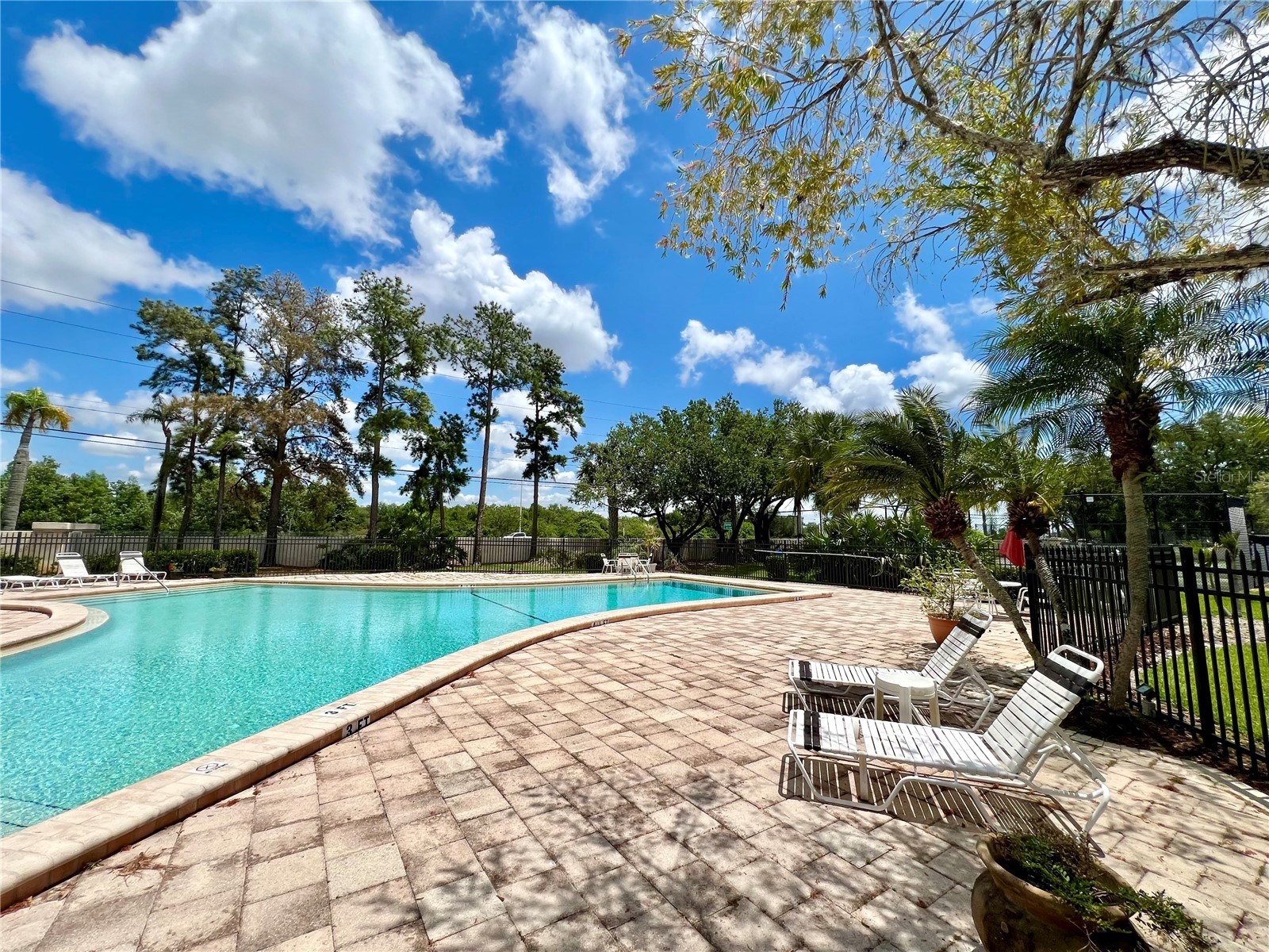 3014 Red Oak Court #102 Palm Harbor FL 34684 TB8503735 image38