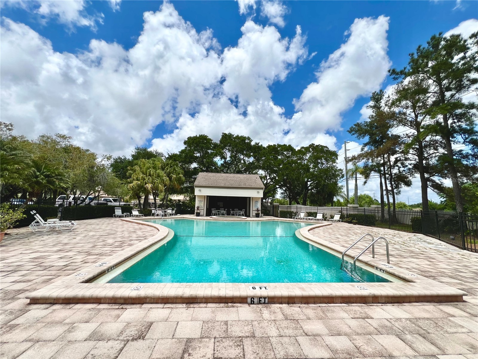 3014 Red Oak Court #102 Palm Harbor FL 34684 TB8503735 image40
