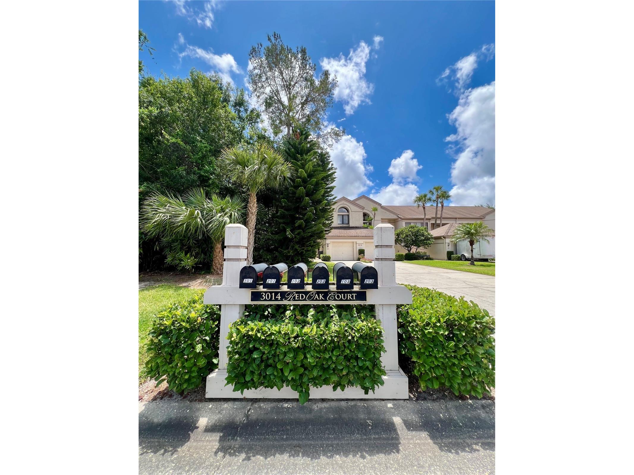 3014 Red Oak Court #102 Palm Harbor FL 34684 TB8503735 image5