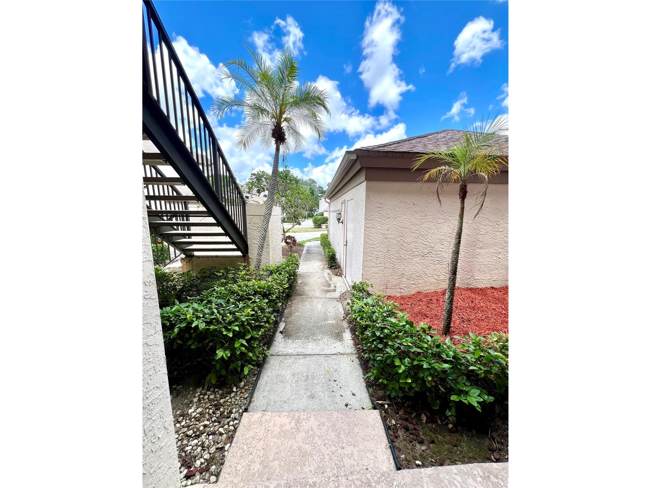 3014 Red Oak Court #102 Palm Harbor FL 34684 TB8503735 image6