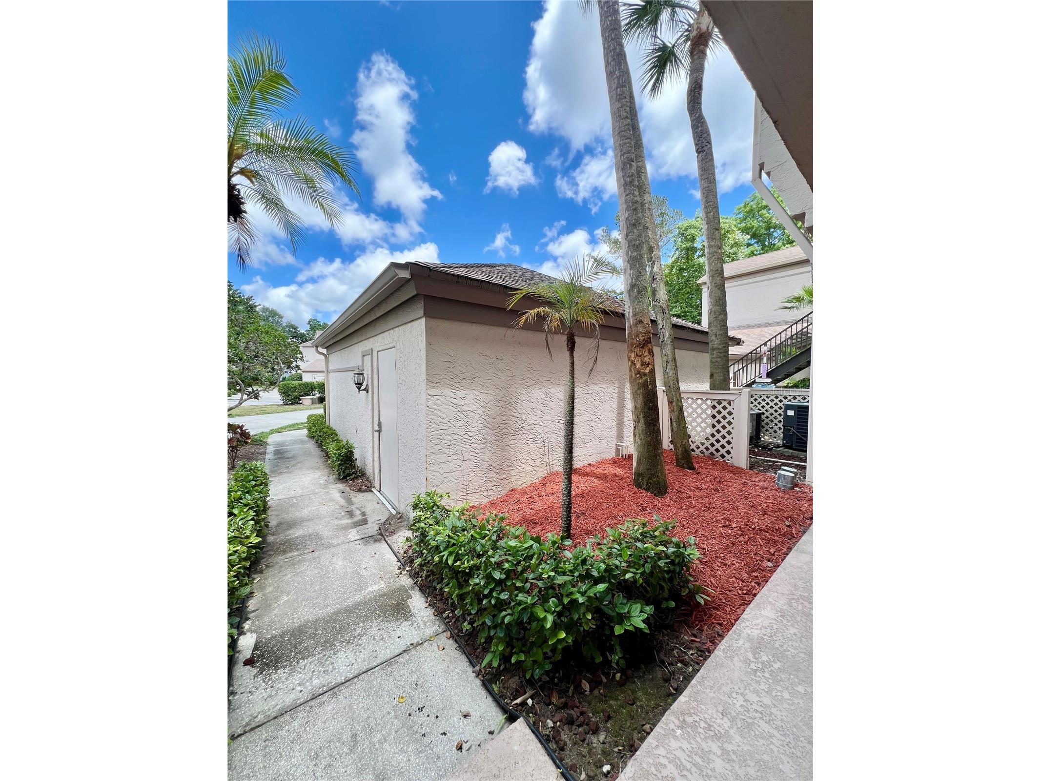 3014 Red Oak Court #102 Palm Harbor FL 34684 TB8503735 image7