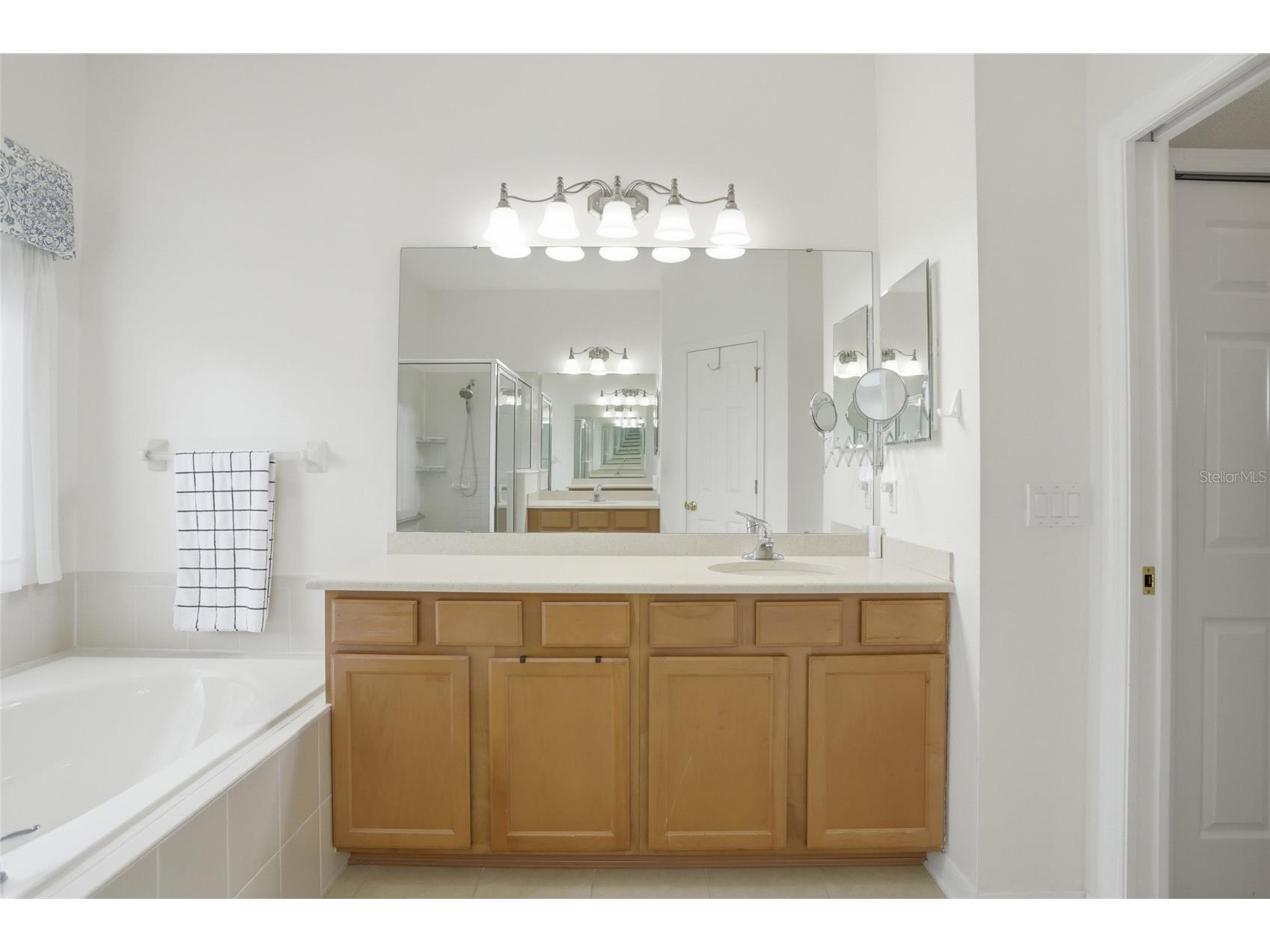3014 Zander Drive Grand Island FL 32735 S5146867 image17