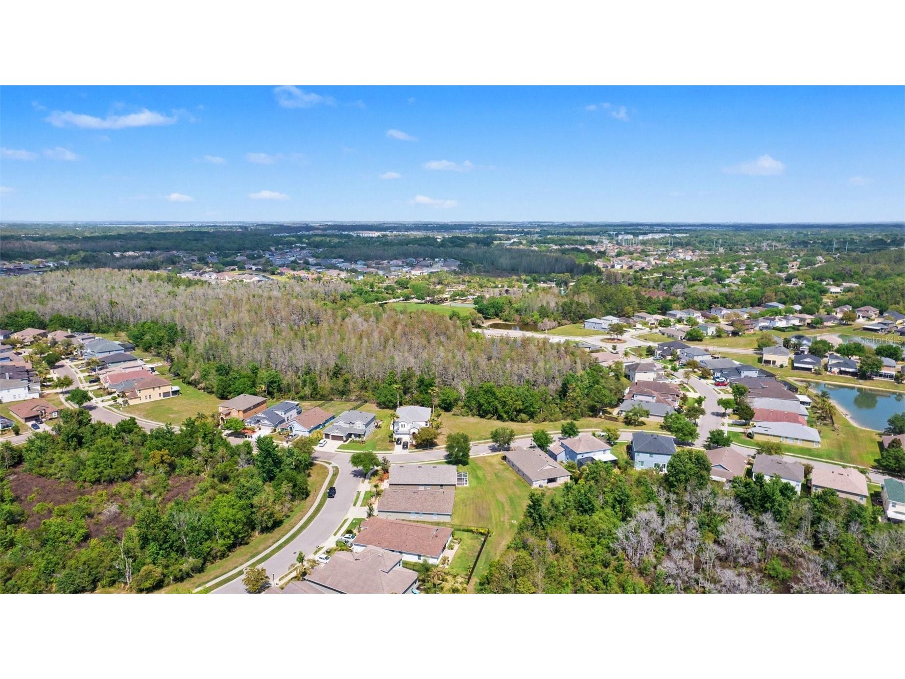 30142 Sotogrande Loop Wesley Chapel FL 33543 TB8491575 image38