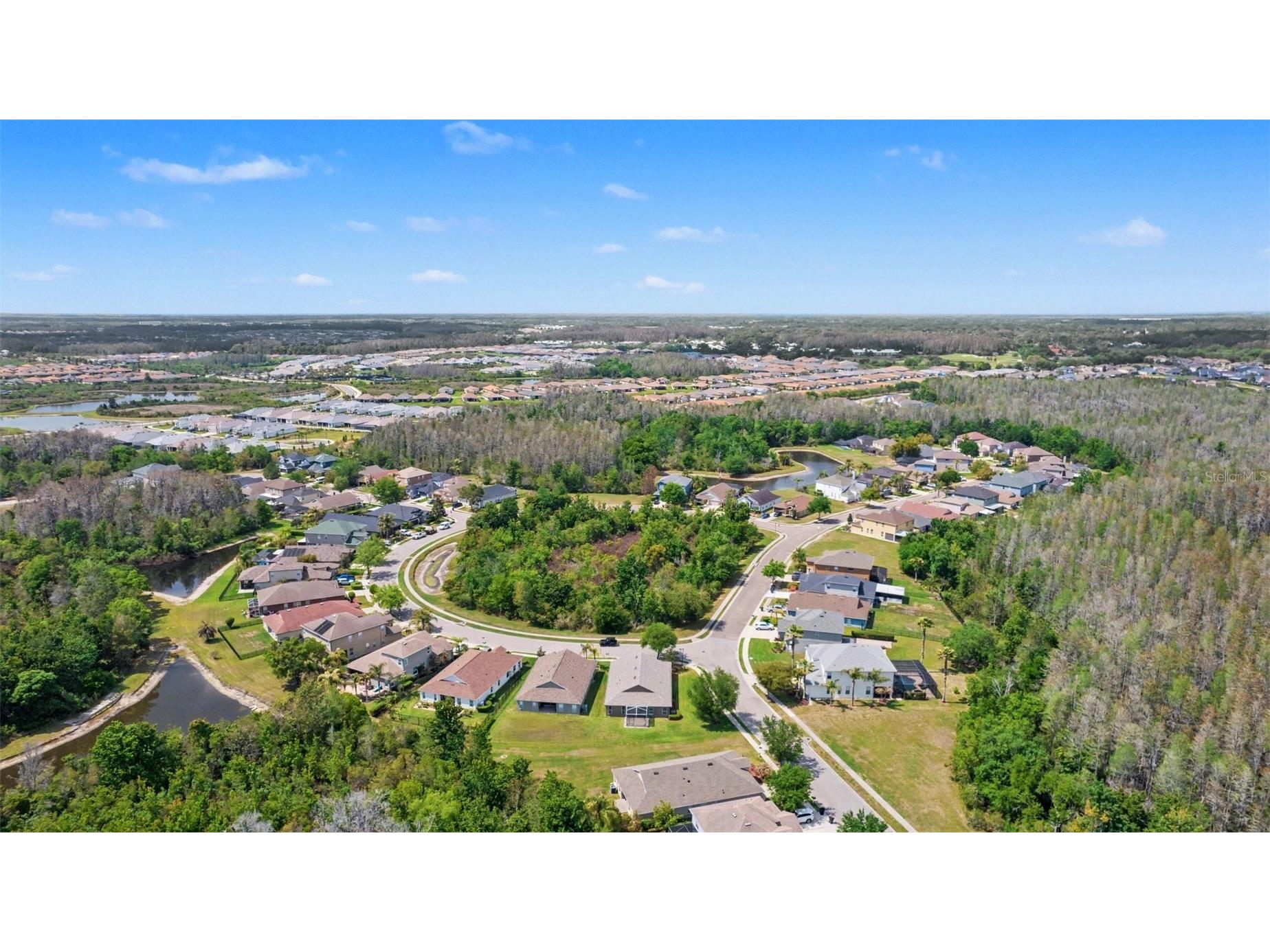 30142 Sotogrande Loop Wesley Chapel FL 33543 TB8491575 image39