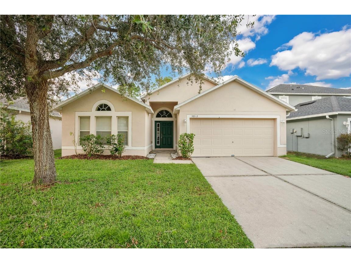 30143 Rattana Court Wesley Chapel FL 33545 O6244626 image1