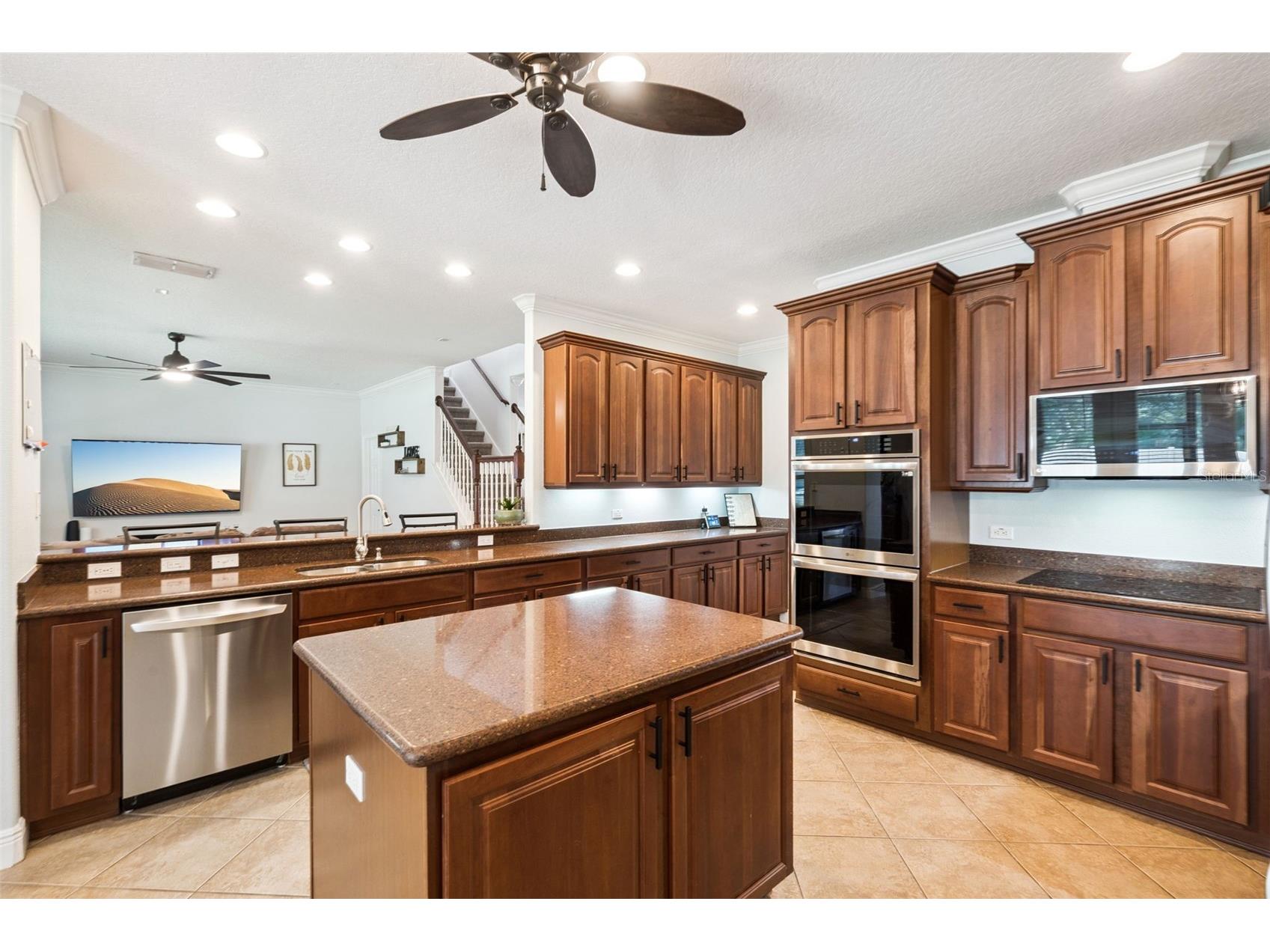30148 Jutland Court Mount Dora FL 32757 O6424733 image14