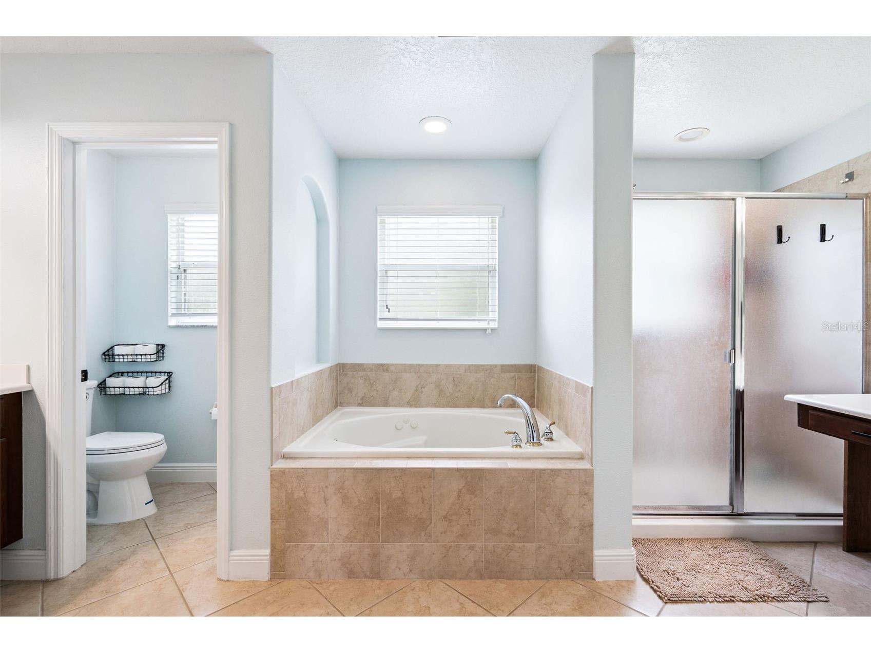 30148 Jutland Court Mount Dora FL 32757 O6424733 image27