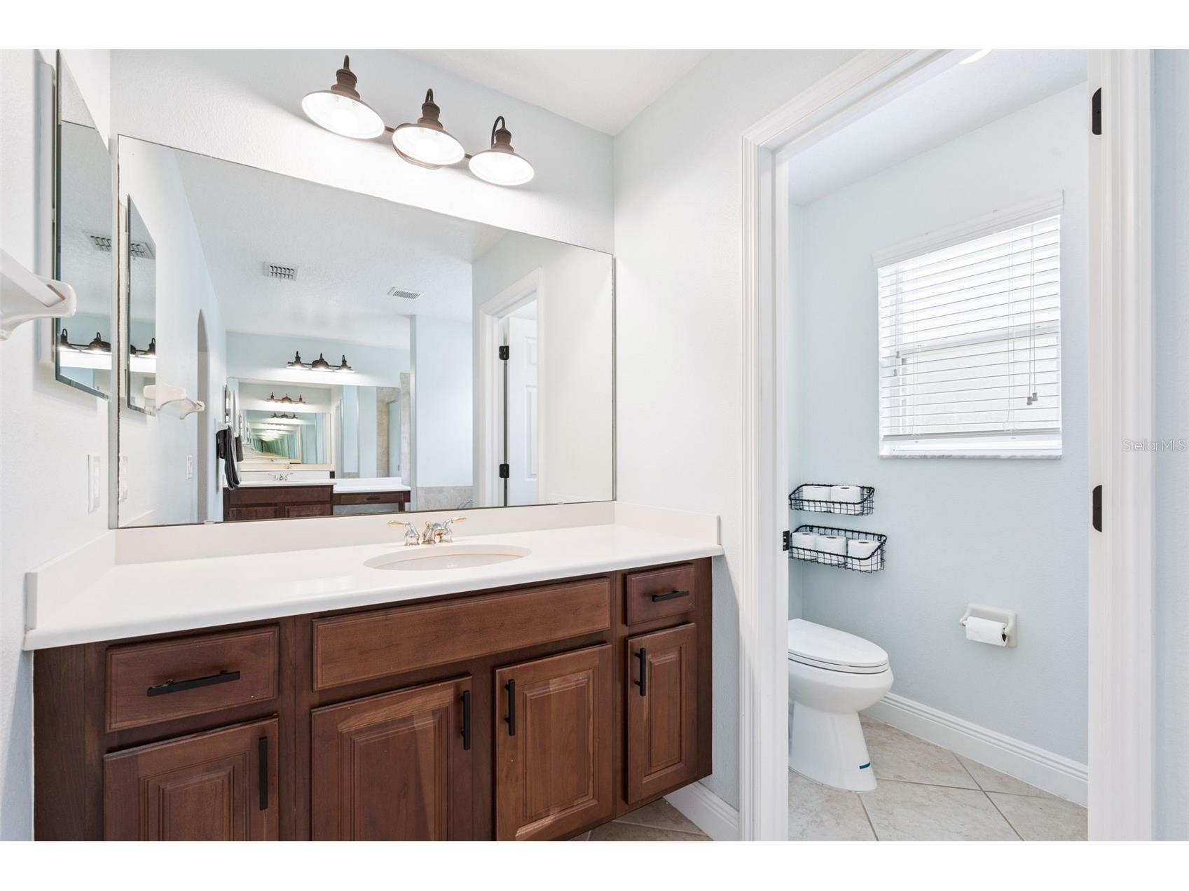 30148 Jutland Court Mount Dora FL 32757 O6424733 image28