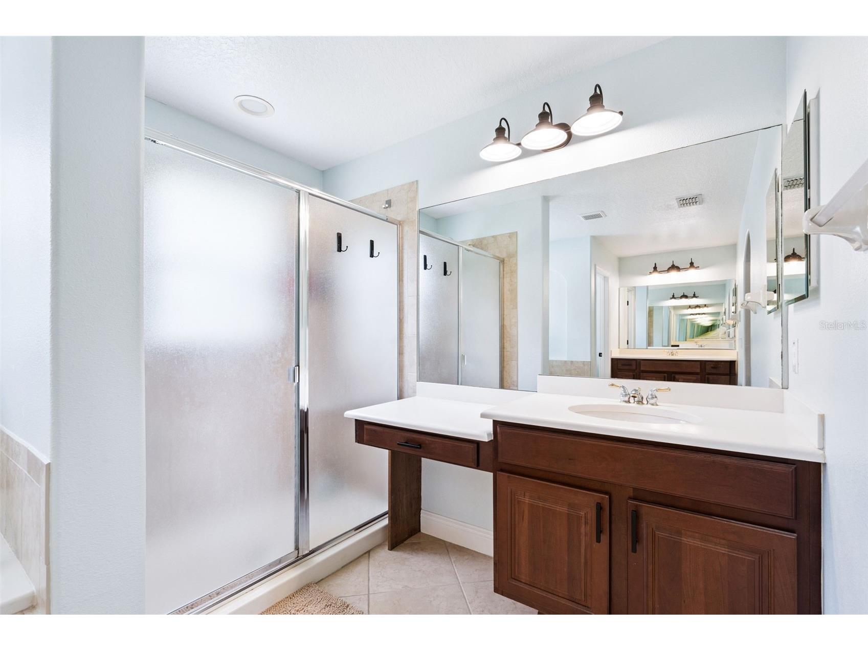 30148 Jutland Court Mount Dora FL 32757 O6424733 image29
