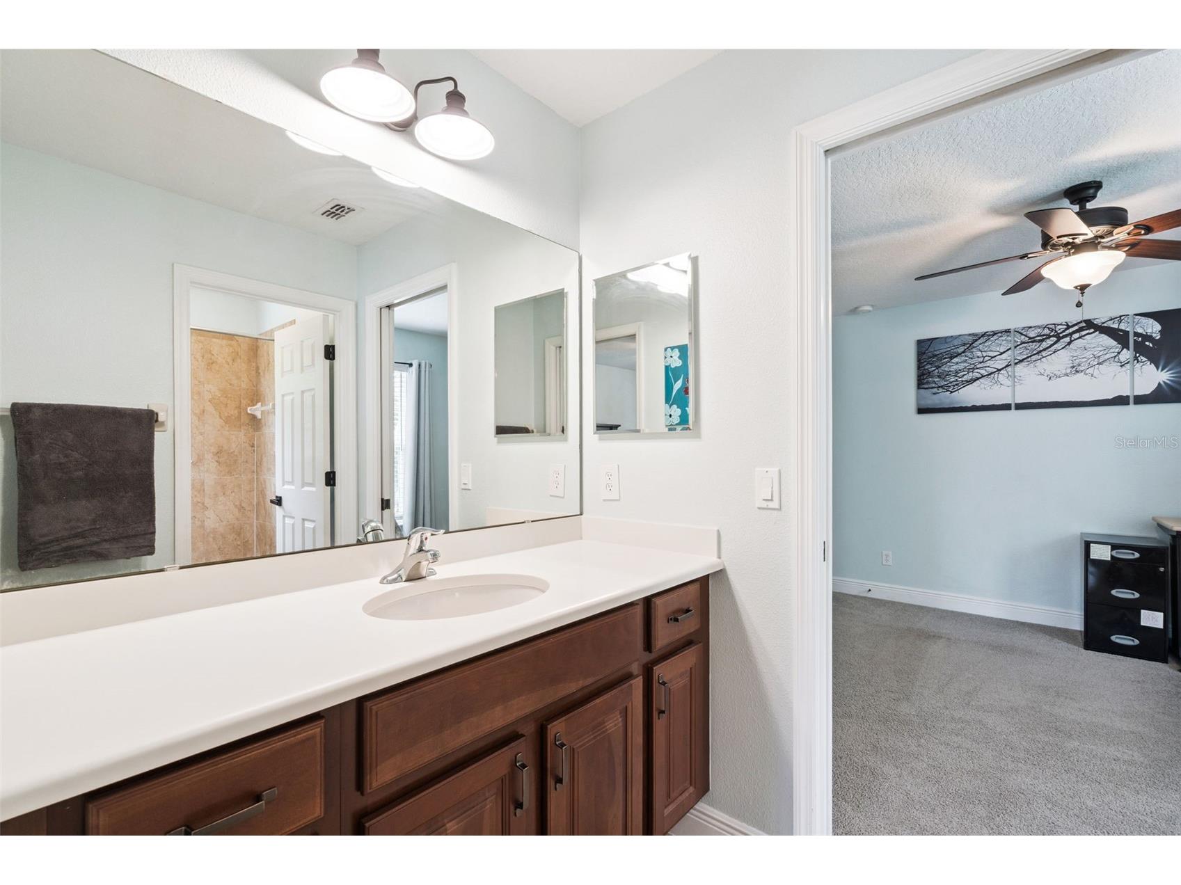30148 Jutland Court Mount Dora FL 32757 O6424733 image38